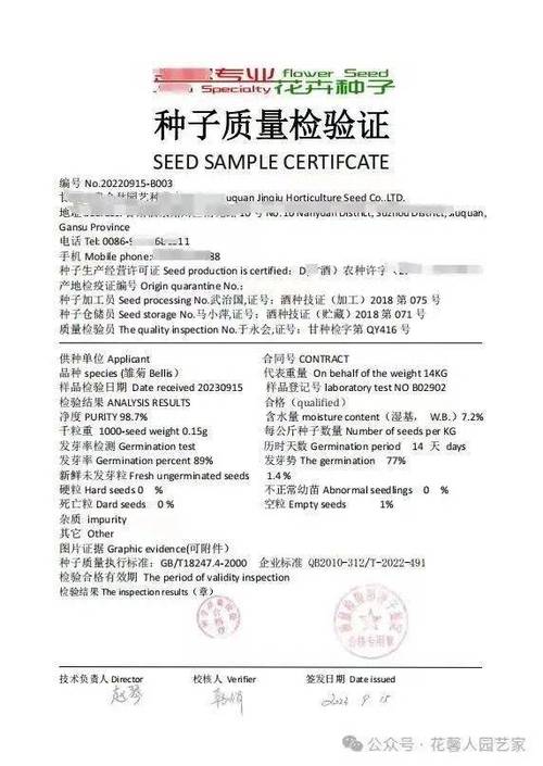 打造花園花海，承包2024一整年的浪漫 從種子開始